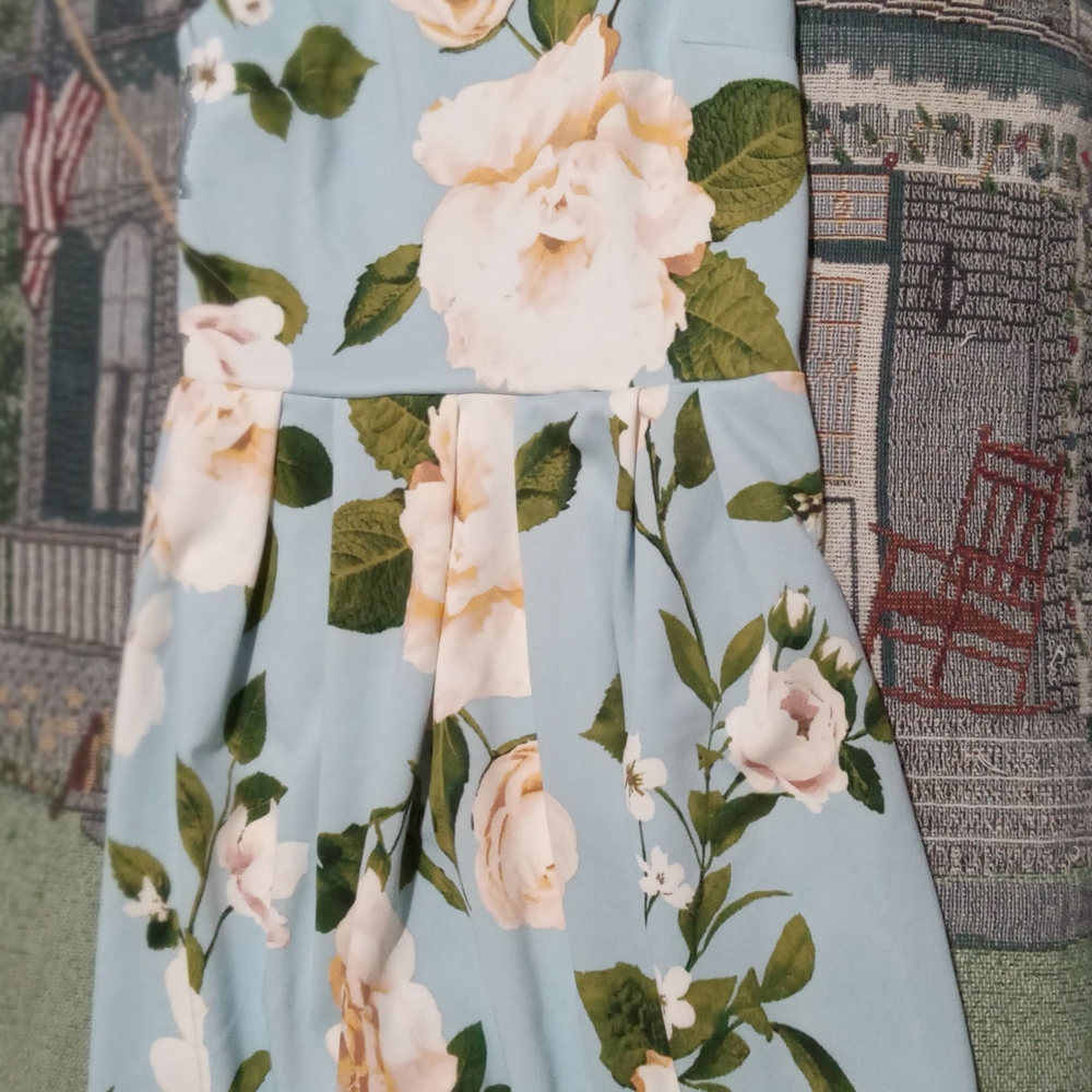 Blue Floral Mini Dress